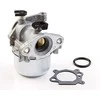 Karbiuratorius Briggs&amp;Stratton 799871