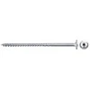 Medvaržtis Fischer FPF II WTP BC; 5,0x100 mm; TX25; 100 vnt.