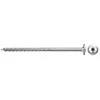 Medvaržtis Fischer FPF II WTP BC; 6,0x100 mm; TX30; 100 vnt.