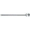 Fischer Medsraigčiai TORX 4,0x50 balti 500