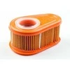 Oro filtras Briggs&amp;Stratton 4245; 5 vnt.