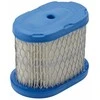 Oro filtras Briggs&amp;Stratton 697029; 1 vnt.