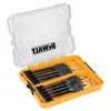 Grąžtas Plunksninių grąžtų komplektas medienai DeWalt DT70751-QZ; 12-32 mm; 9 vnt.