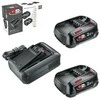 Bosch Starter Set 18V 2x2.5Ah , AL18V-44