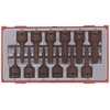 TengTools Smūginių sukimo antgalių rinkinys Teng Tools TT9212TX; 12 vnt.