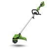 Žoliapjovė - trimeris Greenworks GD24X2LT; 2x24 V (be akumuliatoriaus ir pakrovėjo)
