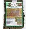 Mil-Tec Camosystems Maskuojantis tinklas 3 x 2,4 m Woodland