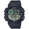 Laikrodis Casio WS-1500H-1AVEF