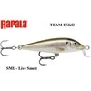 Rapala vobleris Team Esko SML