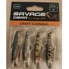 Savage Gear Craft Cannibal Paddletail Clear Vanduo rinkinys