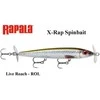Vobleris Rapala X-Rap Saltwater Spinbait ROL