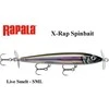 Vobleris Rapala X-Rap Saltwater Spinbait SML