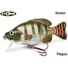 Vobleris Storm Kickin Tilapia KSS04TLP