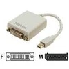 2direct 2 tiesioginės 6 beca jungtys, 0,1 m, Mini DisplayPort, DVI, kištukas, lizdas, tiesus
