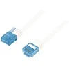 LogiLink CAT5E U-UTP dl.2m CP0135