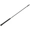 ACV AM/FM antena 40 cm M5