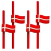 Agk Nordic Šiaudeliai su Danijos vėliavėlėmis, 4 vnt.