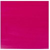 Artequipment Amsterdam Acrylic Ink Bottle Quinacridone Rose 366