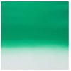 Artequipment Amsterdam Purškiklis Paint Transparent Žalias 651