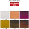 Amsterdam Standard serijos akrilinių dažų portretų rinkinys 6 × 20 ml