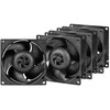 Arctic Cooling ARCTIC S8038-10K serverio korpuso ventiliatorius 10000rpm PWM 80mm 4vnt.
