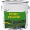 Arsinol Medienos apsauga, balta, nepermatoma