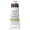 Artmax Aqua Wash rašalas 60 ml Bistre