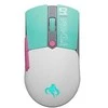 Pelė Asus P521 TUF žaidimų mini WL MIKU
