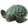 Aurora Aurora MF SPLISH-SPLASH SEA TURTLE