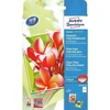 Avery Zweckform Avery C2550-50, Blizgus, 250 g/m², Rašalinis, 10 x 15 cm, Balta, 50 lapų