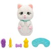 Baby Paws Kūdikių letenėlės - ką tik gimusi katė (264-923485)