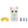 Baby Paws Kūdikių letenėlės - ką tik gimusi katė (264-923485)