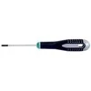 Bahco Atsuktuvas ERGO™ Torx TR20x100mm