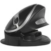 Bakker Elkhuizen Pelė BakkerElkhuizen BakkerElkhuizen Oyster Pelė Large wireless - BNEOYMWL