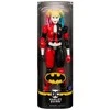 Batman Betmenas – 30 cm figūra – Harley Quinn (6069101)