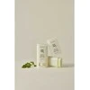 Beauty of Joseon Matte Sun Stick Mugwort + Camelia SPF 50+ PA++++ apsauginis pieštukas nuo saulės, 18 g