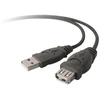 Kabelis USB Belkin USB-A - 1.8 m Juodas (F3U134B06)