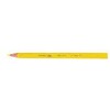BIC Evolution Triangle - Multi - 12 pc(s)
