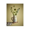 Bloomingville - Bea Jug - Nature - 1500 ml