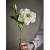 BLOOMINGVILLE bijūno stiebas, baltas, dirbtinės gėlės