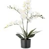 BLOOMINGVILLE orchidėja, balta, dirbtinės gėlės