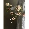 Bloomingville Protea Stiebas, Gamta, Dirbtinės Gėlės