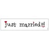 Party Deco Automobilio numeris JUST MARRIED