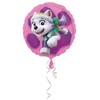 Boland Traciks AMSCAN standartinis folijos balionas - Paw Patrol Skye ir Everest (3408801)