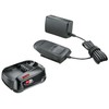 Bosch 1 600 A02 625, akumuliatoriaus ir kroviklio rinkinys, 2.5 Ah, 18 V, Bosch, Juodas, 2 A