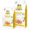 Brit Care Cat GF Haircare Healthy &amp; Shiny Kailis (lašiša ir vištiena), 2kg