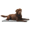 Calibra KRUUSE Vet Bed, Anti-slip, pilkas, 100 x 75 cm