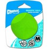 Kamuoliukas šuniui Chuckit! ERRATIC BALL MEDIUM (201101)