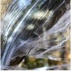 Ciao - Spider Web w/25 Spiders (30323)
