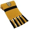 Ausinės Vision Harry Potter Hario Poterio skara Hufflepuff